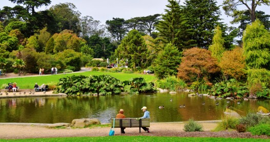<a>Lakes, museums, and miles of trails make Golden Gate Park a wonderful attraction for locals and out-of-towners.</a>