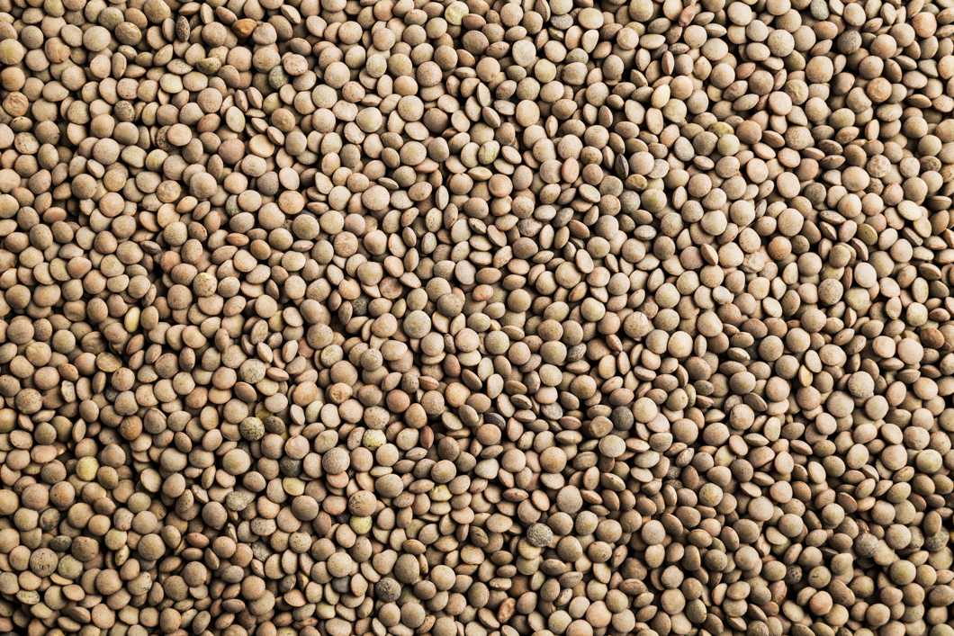 microsoft, nutrition pros share: lentils for diabetics - a guide
