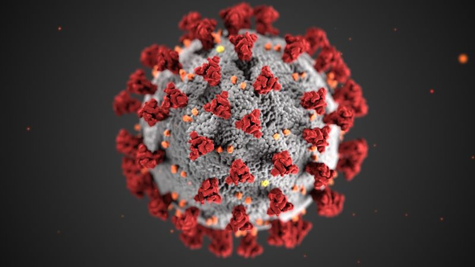 la secuencia genética del coronavirus se envió a la base de datos de ee.uu. dos semanas antes de que la divulgación de china del virus, según documentos