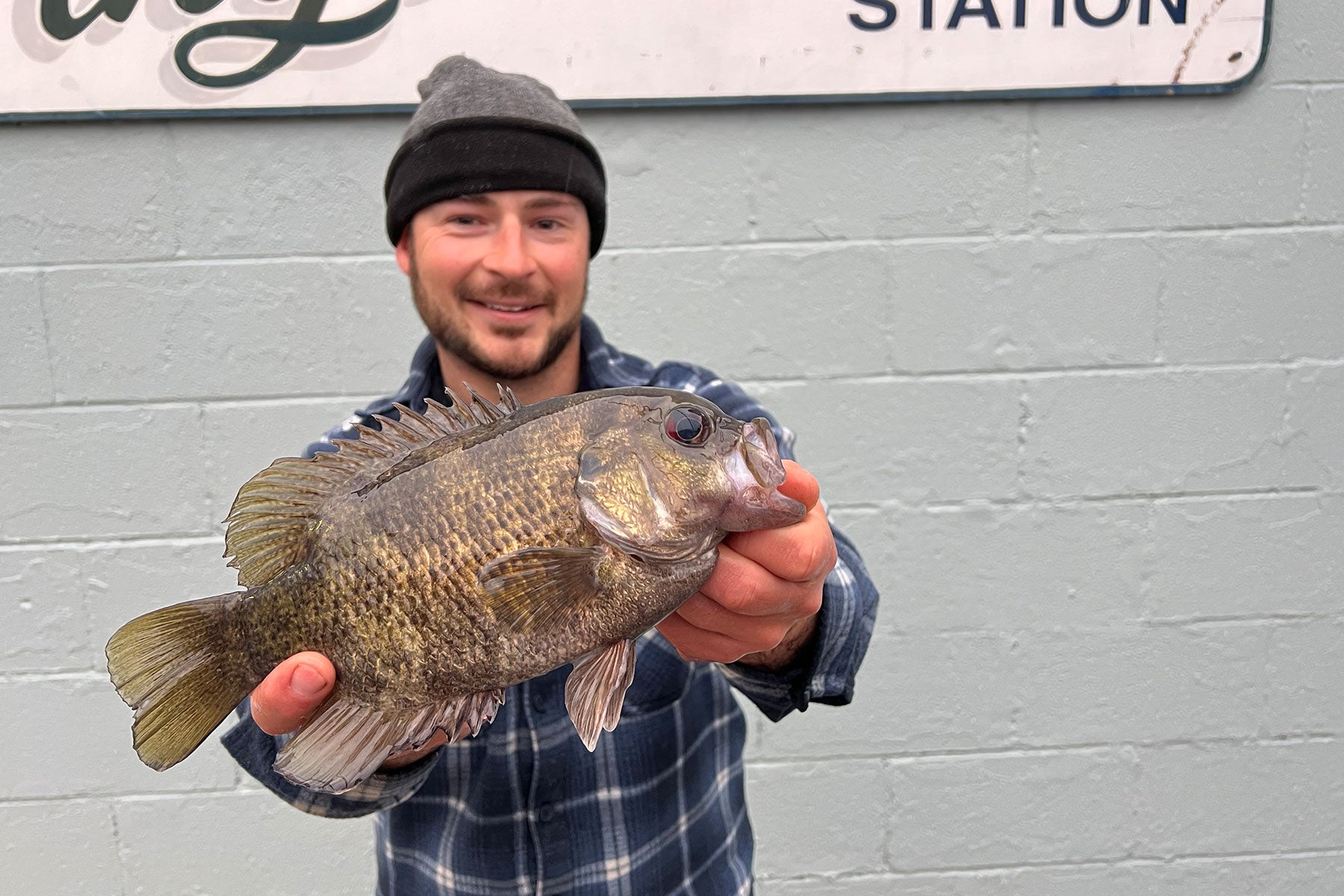 maryland angler's rock bass ties state record set nearly 30 years ago