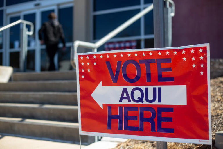 Texas 2024 primary elections Voter Guide