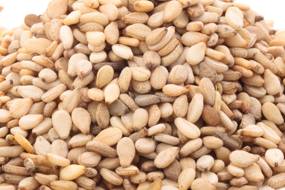 Sesame seeds, a calcium powerhouse in nondairy diets