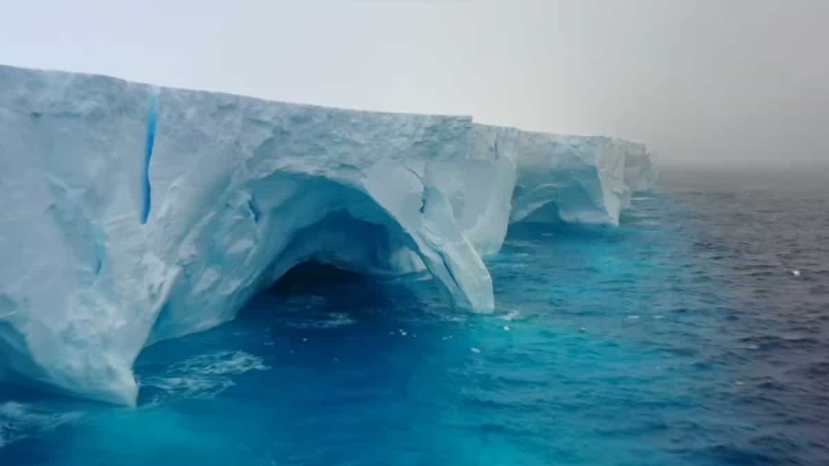 A23a: Images Show Massive Arches And Caves In World’s Largest Iceberg ...