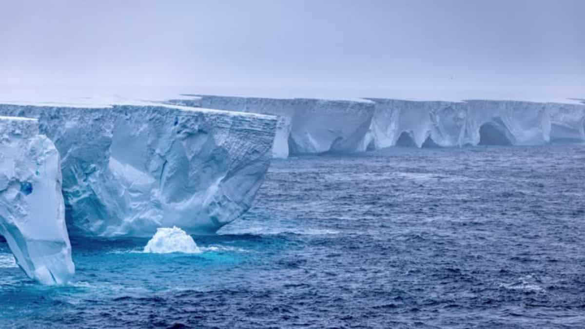 A23a: Images show massive arches and caves in world’s largest iceberg ...