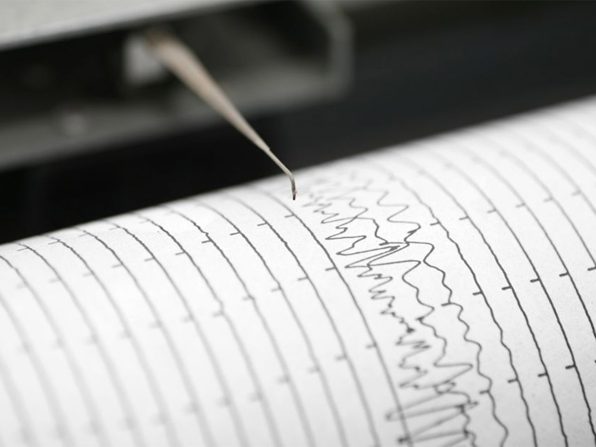 sismo en cdmx no ameritó activación de alerta: batres