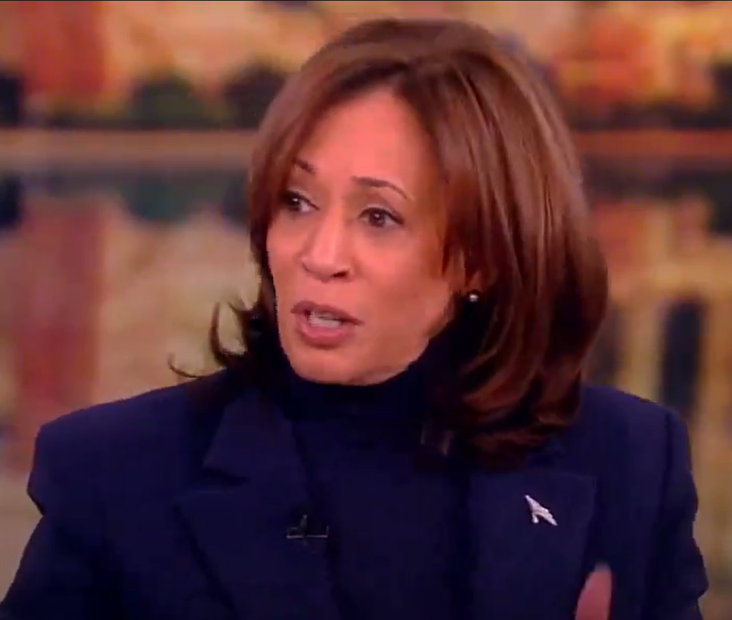 Kamala Harris Says Everyone Should Be 'scared' About Donald Trump's ...