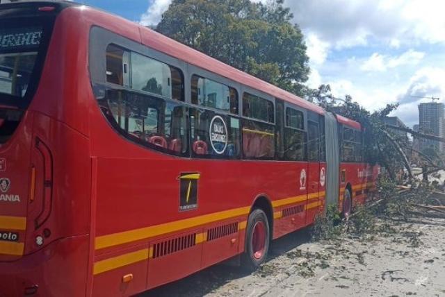 ramas de árbol cayeron sobre bus de transmilenio: imágenes impactantes