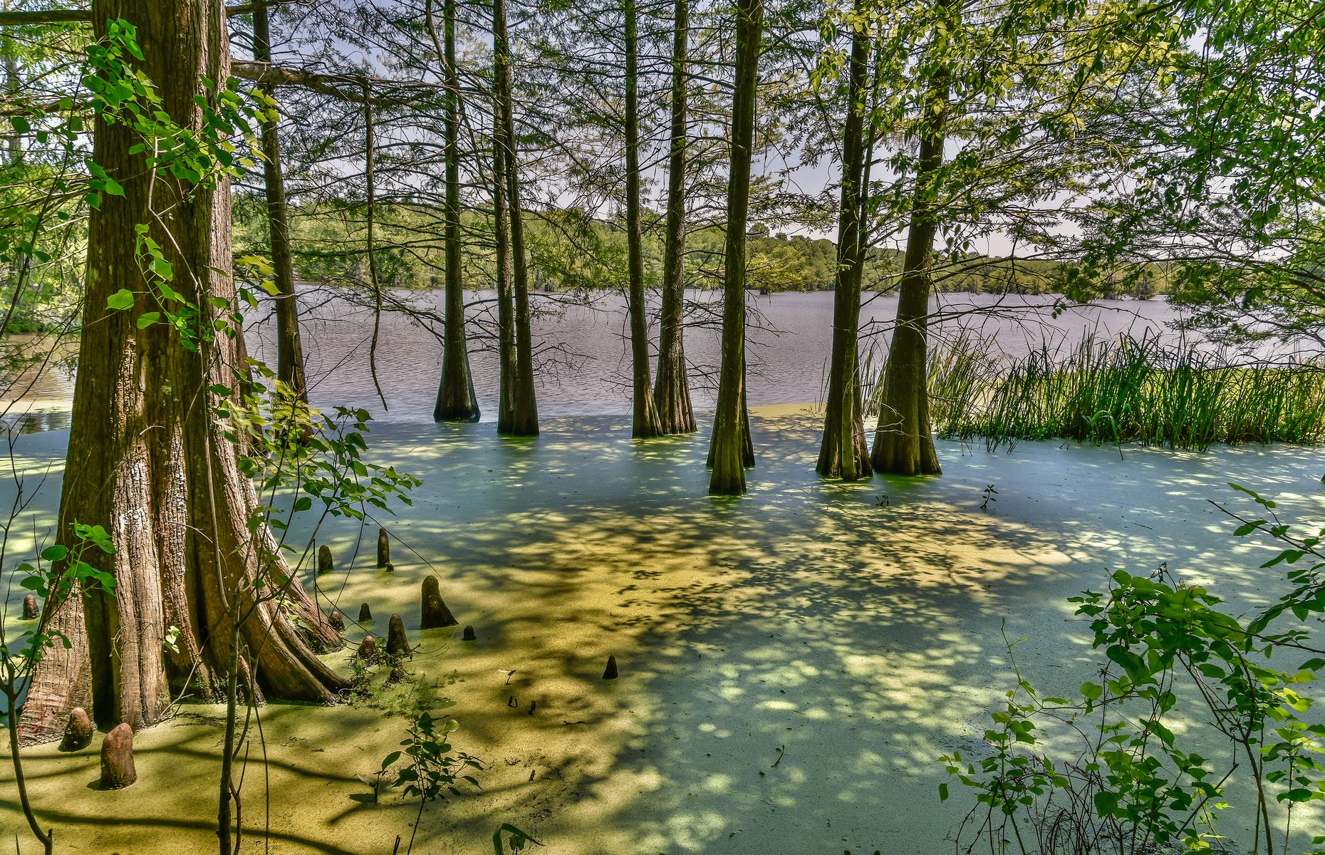 Stunning State Parks In Every State In The US