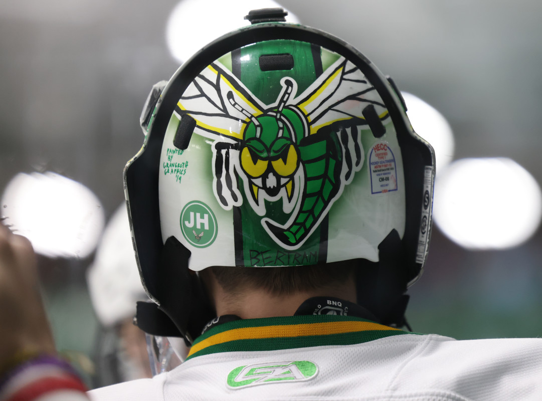 Edina Boys Hockey: Stories From The Hornets' 2024 State Tournament Run