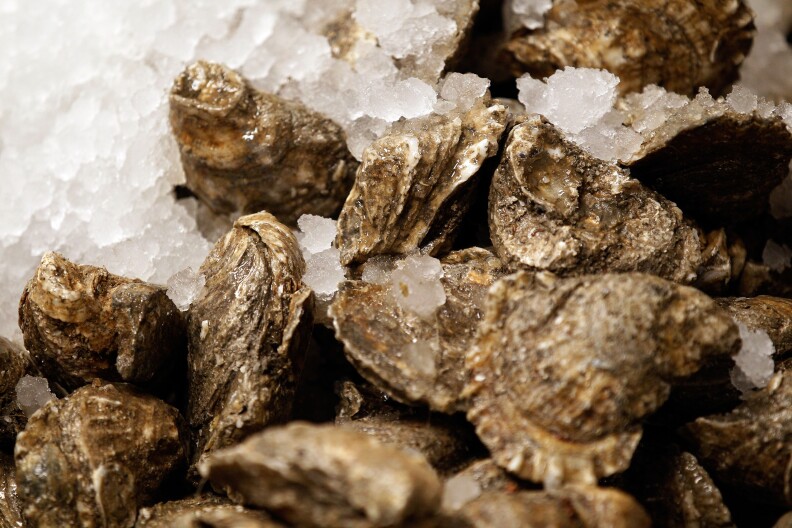 Don’t Eat Some Raw Oysters: FDA Expands Warning After Nearly 200 People ...