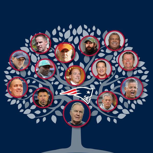 Bill Belichick's Coaching Tree