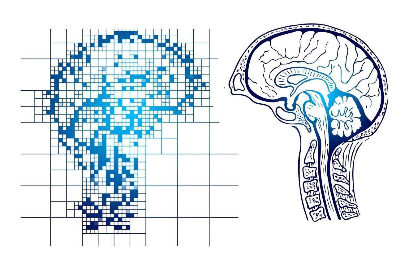 How the brain's 'memory replay' goes wrong in Alzheimer's disease