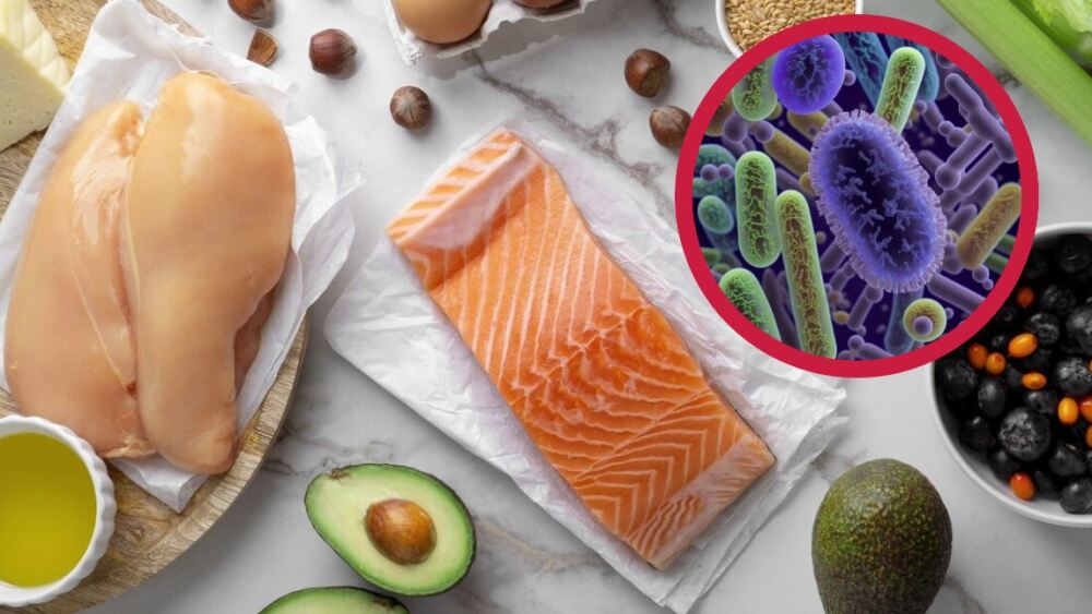 ¿qué es la salmonella y cómo se puede contagiar?