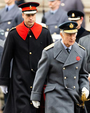 Samir Hussein/WireImage Prince William and King Charles during the National Service of Remembrance at The Cenotaph on November 12, 2023 in London.