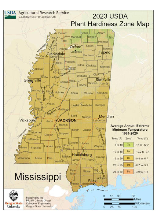 USDA changes zones for Mississippi plants