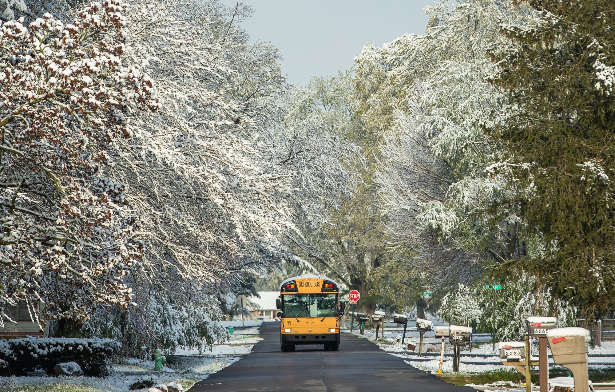 Is School Closed Or Delayed Friday? Here's The List For The ...