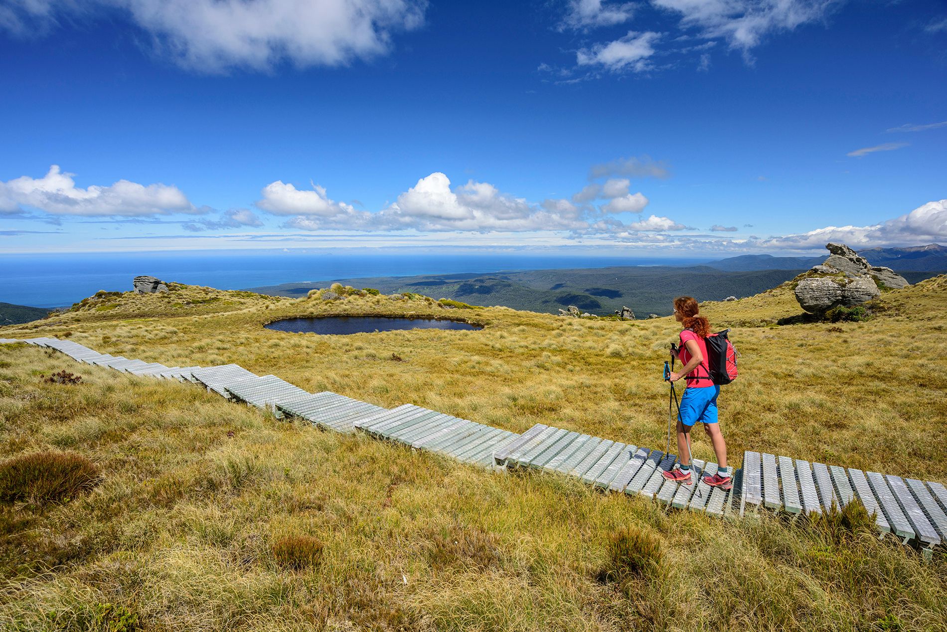 Trains Trails And M Ori Culture Reasons To Visit New Zealand In 2024   AA1ncz7X.img