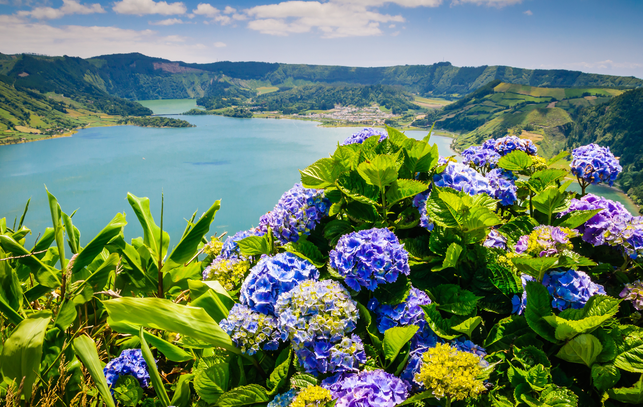 <p>Spring is a delightful time to visit Europe. Visitors will enjoy friendlier prices and fewer crowds. As a bonus, flowers across the continent bloom all season long and make for great trips. Here are 20 European floral getaways to add to your spring travel wishlist!</p>