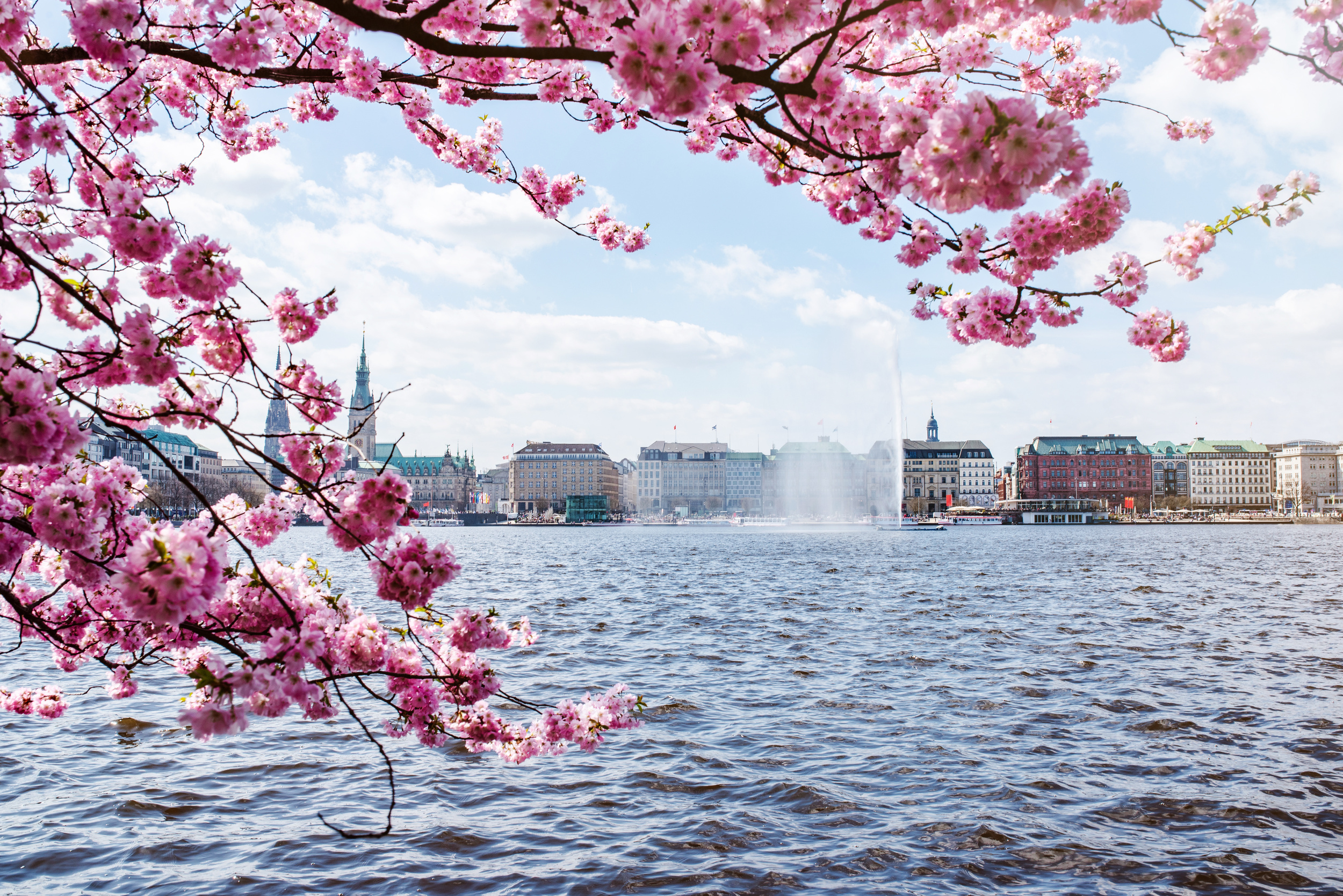 <p>Hamburg is a cute, if unassuming, German town. But it really stuns during the spring when the cherry blossom festival occurs.</p><p><a href='https://www.msn.com/en-us/community/channel/vid-cj9pqbr0vn9in2b6ddcd8sfgpfq6x6utp44fssrv6mc2gtybw0us'>Follow us on MSN to see more of our exclusive lifestyle content.</a></p>