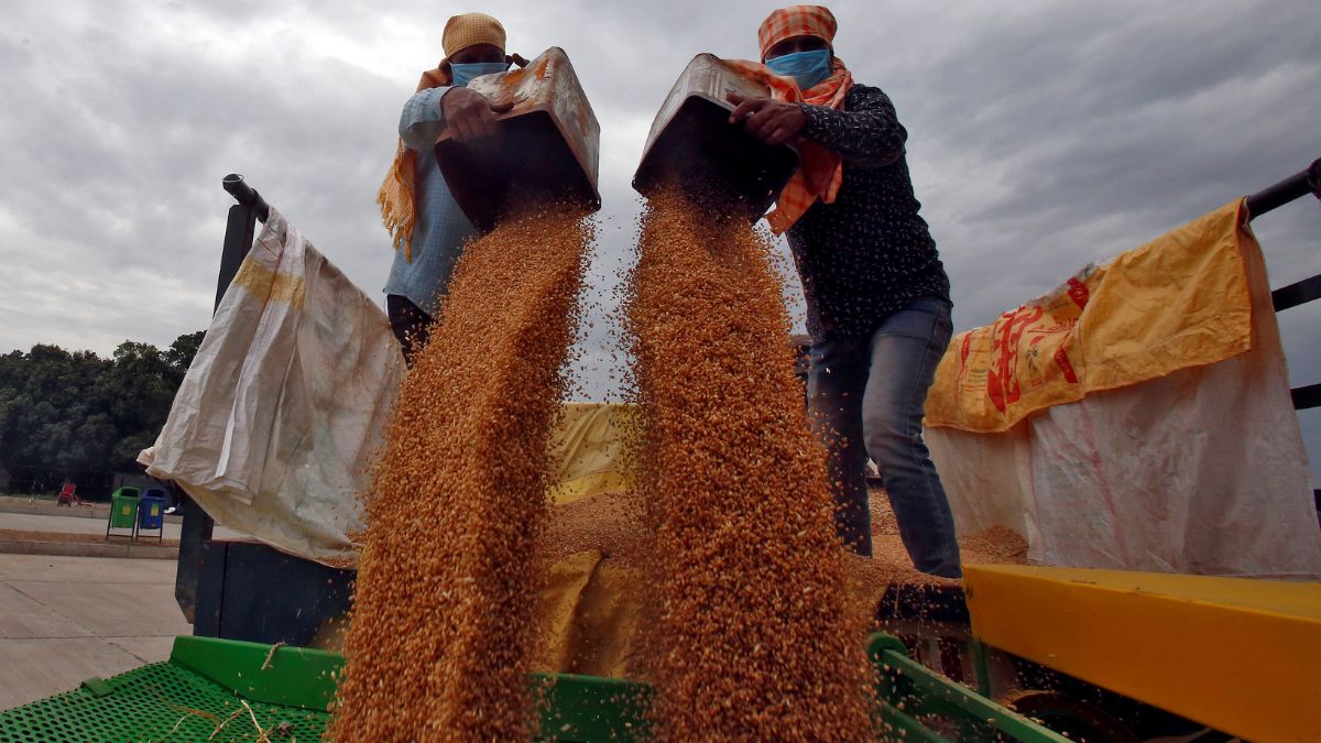us senators raise concerns over rice, wheat subsidies as india expands access to american farming industry