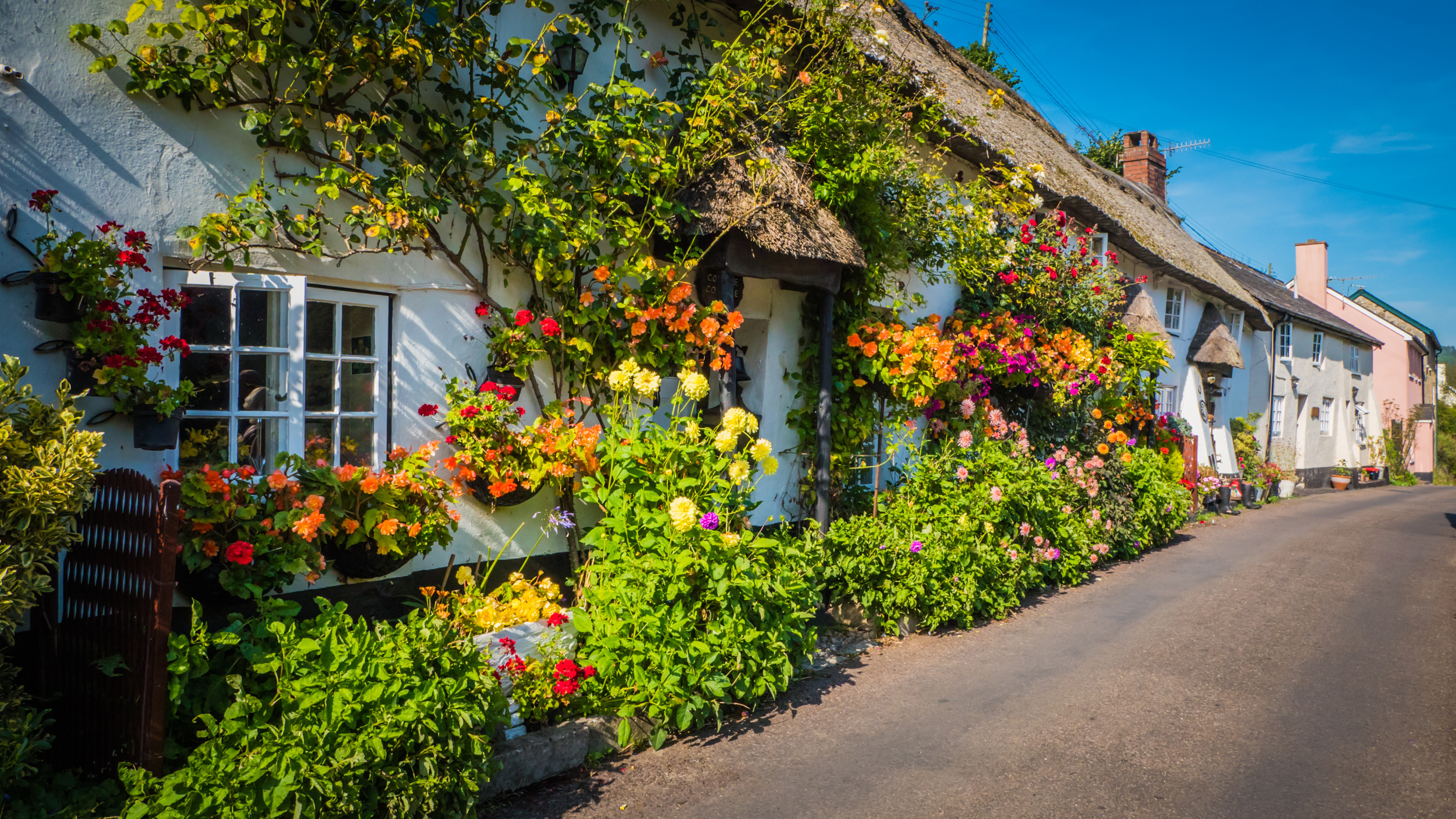 <p>The Cotswolds are known for rolling green hills and thatched cottages that adorn many Instagram explore pages. And in the spring, daffodils bloom all over the English countryside, making it a great time of year to visit.</p><p>You may also like: <a href='https://www.yardbarker.com/lifestyle/articles/21_food_drink_items_that_have_been_around_for_thousands_of_years/s1__38178665'>21 food & drink items that have been around for thousands of years</a></p>