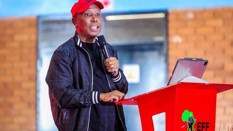 ‘we share almost the same policies of land, empowerment’: malema alludes eff could work with mk party post elections