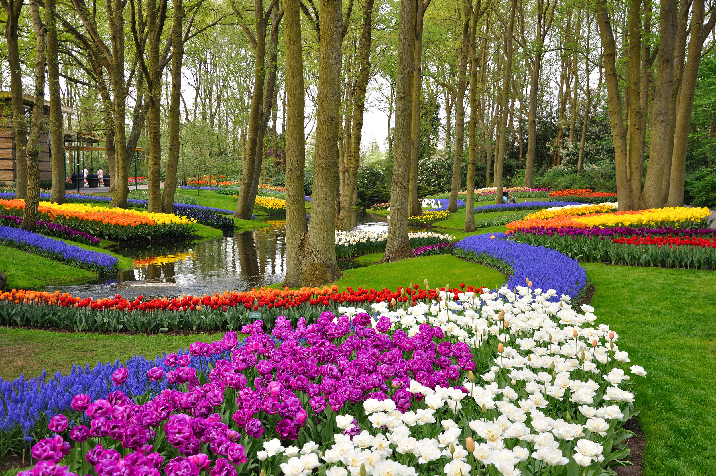 <p>The Netherlands is not only known for its tulips but also houses the world’s largest flower garden, Keukenhof. Located in the Lisse region, it can easily be added to a tulip-focused trip.</p><p>You may also like: <a href='https://www.yardbarker.com/lifestyle/articles/20_skincare_rules_everyone_should_follow/s1__40188013'>20 skincare rules everyone should follow</a></p>