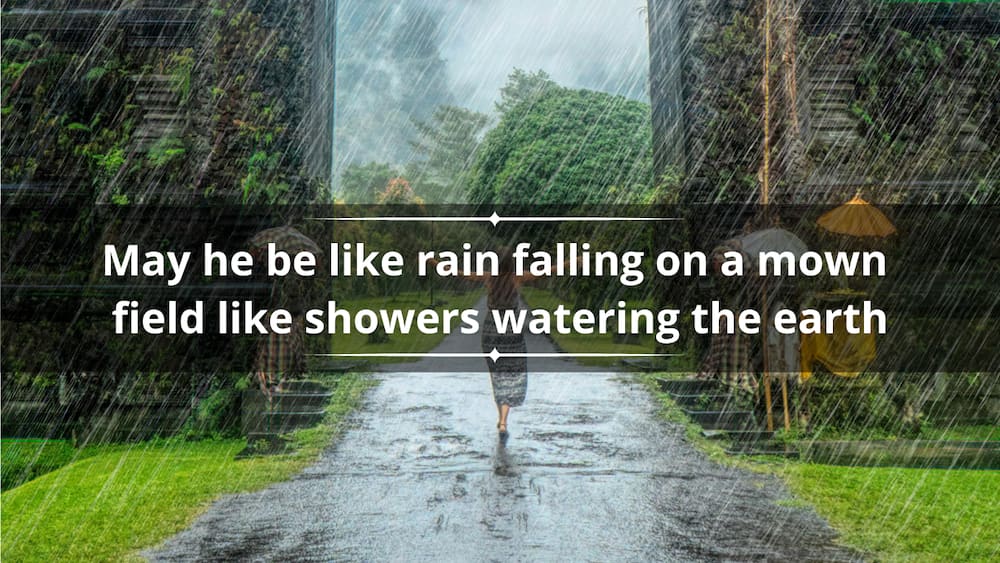 powerful bible verses about rain and the blessings that come with it