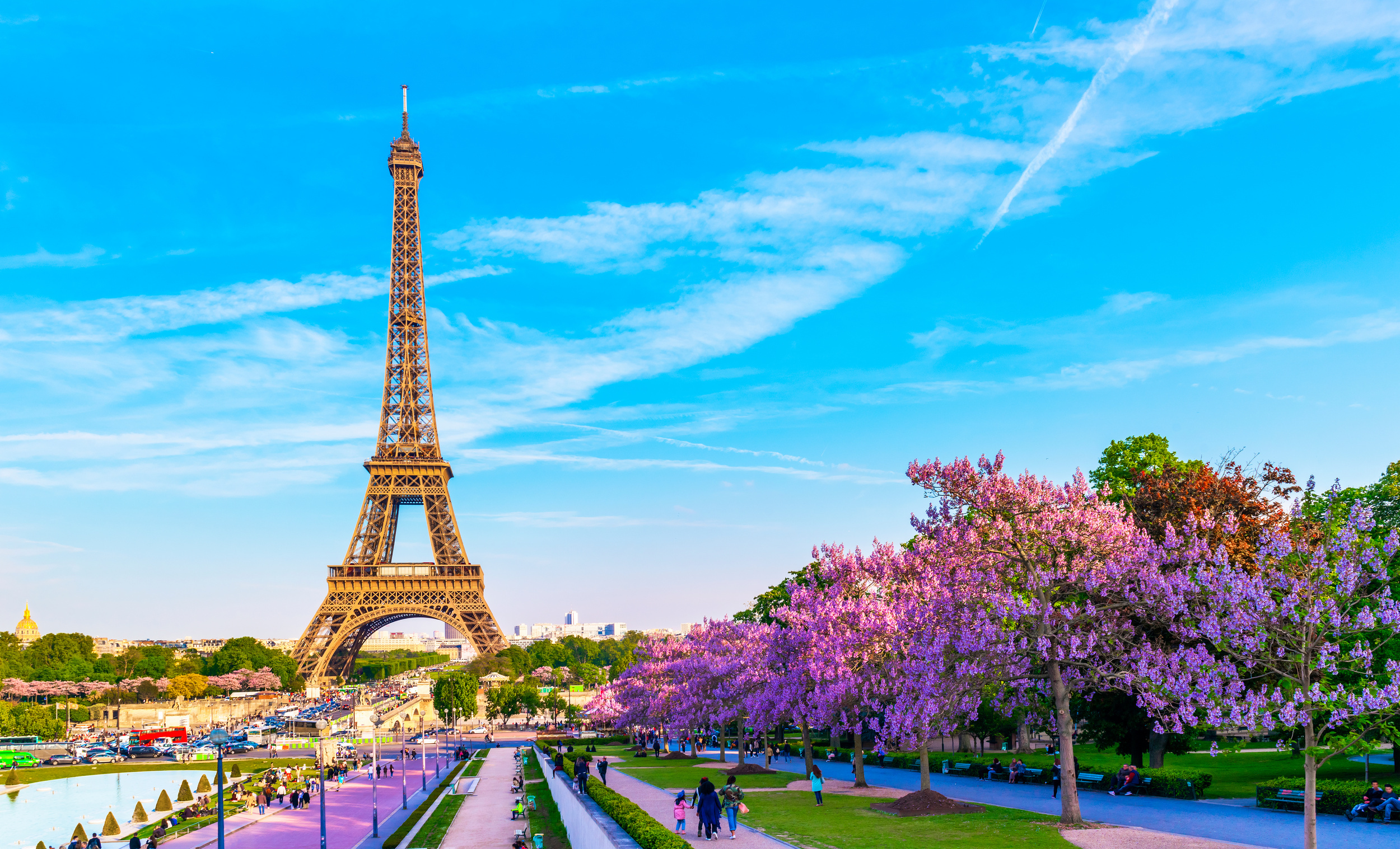 <p>The city of love and light is also a floral town in the spring. Cherry blossoms, magnolias, wisteria, and roses cover the various arrondissements. Make sure to pack your allergy meds if you have a pollen aversion!</p><p><a href='https://www.msn.com/en-us/community/channel/vid-cj9pqbr0vn9in2b6ddcd8sfgpfq6x6utp44fssrv6mc2gtybw0us'>Follow us on MSN to see more of our exclusive lifestyle content.</a></p>