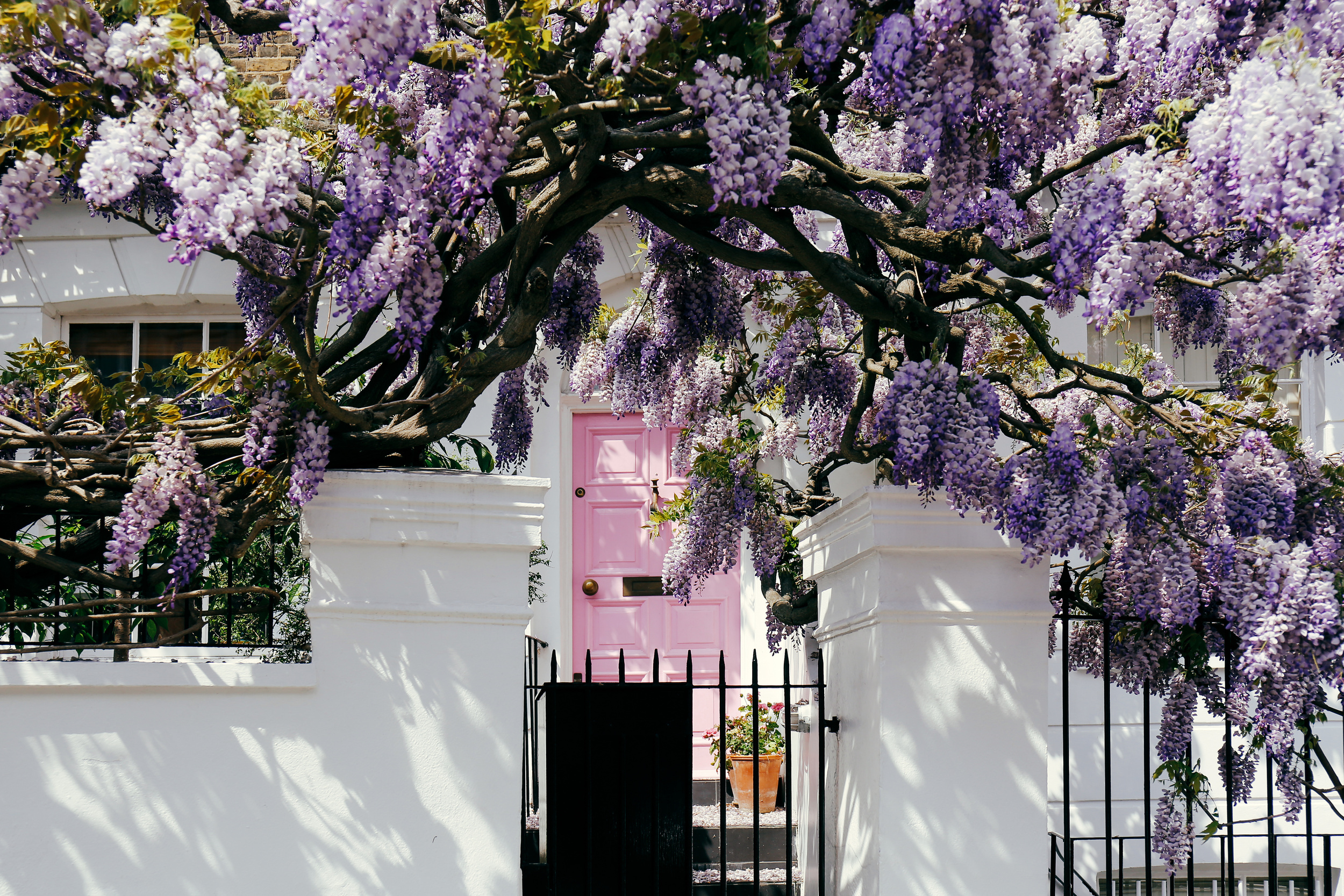 <p>Another major city that comes alive after a long winter, London is an ideal spring destination. The main event is the wisteria that covers buildings throughout the metropolis.</p><p><a href='https://www.msn.com/en-us/community/channel/vid-cj9pqbr0vn9in2b6ddcd8sfgpfq6x6utp44fssrv6mc2gtybw0us'>Follow us on MSN to see more of our exclusive lifestyle content.</a></p>