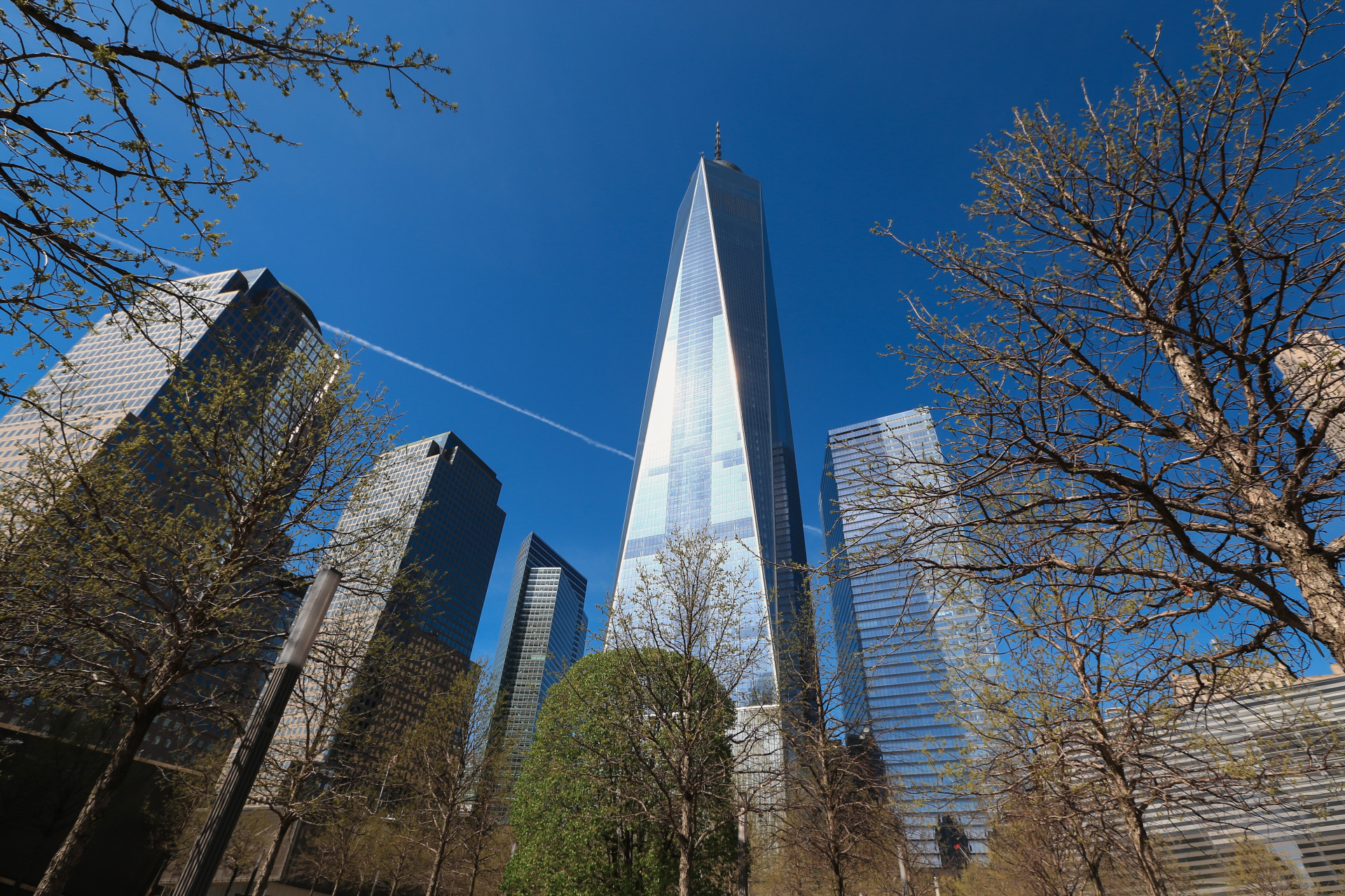 Aussi connu sous le nom de WTC1 et situé dans la Big Apple, c'est le bâtiment principal du nouveau World Trade Center. Il a ouvert en 2014 et mesure 541 mètres.<p>Tu pourrais aussi aimer:<a href="https://www.starsinsider.com/n/422930?utm_source=msn.com&utm_medium=display&utm_campaign=referral_description&utm_content=164050v2"> Michael Jordan et le légendaire maillot #23 </a></p>