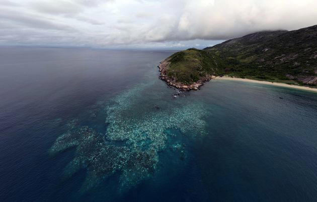 New Photos Show Just How Bad Mass Coral Bleaching Is On The Great ...