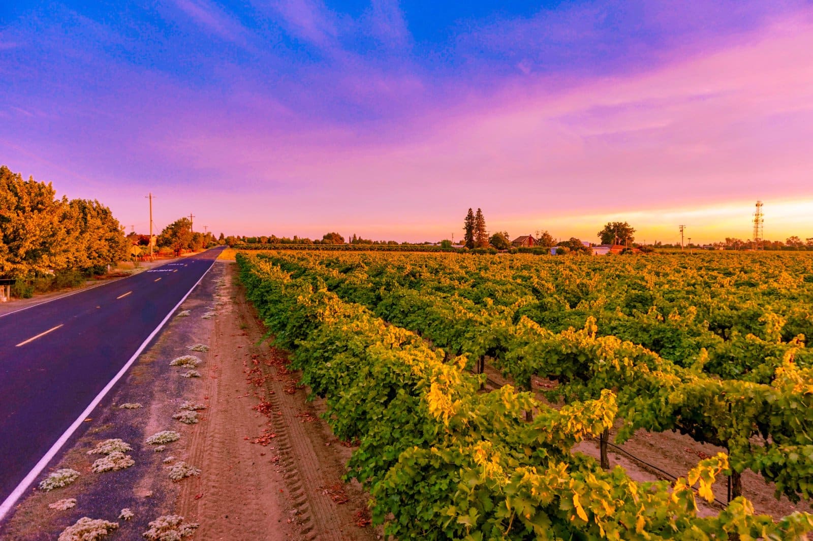 <p class="wp-caption-text">Image Credit: Shutterstock / Chantarat</p>  <p><span>Known as the Zinfandel Capital of the World, Lodi’s warm climate produces powerfully flavored wines, along with Spanish and Italian varietals.</span></p>