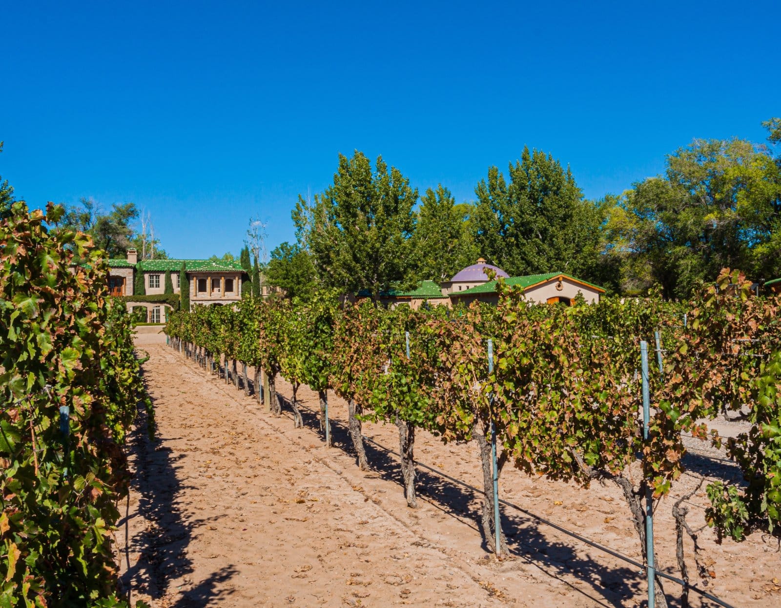 <p class="wp-caption-text">Image Credit: Shutterstock / Billy McDonald</p>  <p><span>Yes, New Mexico! As the oldest wine-producing state in the U.S., it offers a unique wine-tasting experience with its high elevation vineyards and Spanish-influenced wines.</span></p>