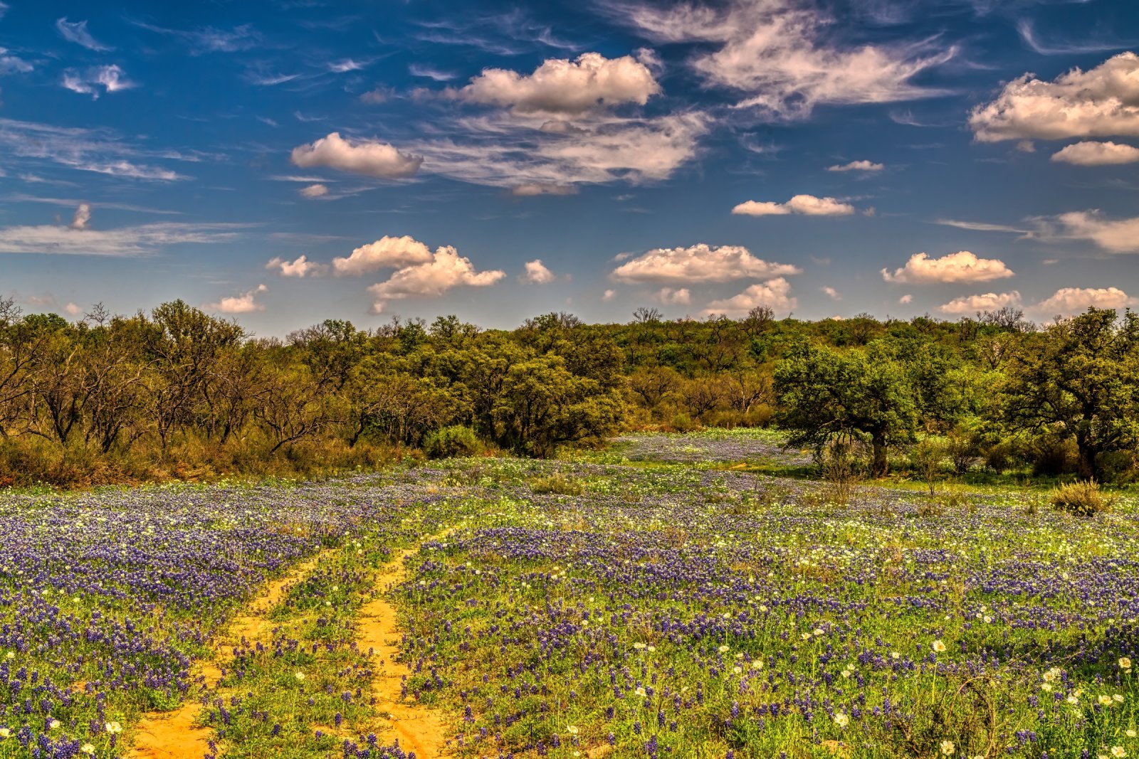 <p class="wp-caption-text">Image Credit: Shutterstock / Brent Coulter</p>  <p><span>Don’t overlook Texas in your wine travels. The Texas Hill Country, with its German heritage and warm hospitality, offers unique varietals and blends that capture the spirit of the Lone Star State.</span></p>