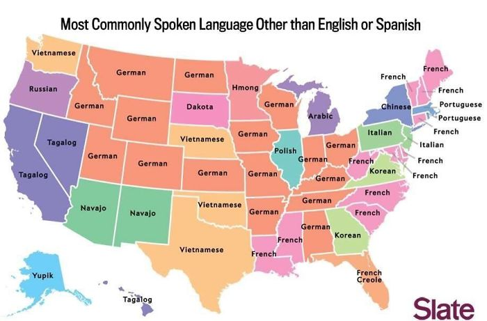 <p>These are the <a href="https://theamazingtimes.com/body-language-expert-taylor-swift-super-bowl/">languages</a> that the states speak the most, after English and Spanish. However, take the map with a grain of salt since commenters on the Reddit post have pointed out quite a few inconsistencies and mistakes.</p> <p class="wp-block-create-block-wp-read-more-block"><strong>Read More: </strong><span><strong><a href="https://theamazingtimes.com/things-you-dont-often-see/">40 Pics of Things You Don't Often See</a></strong></span></p>