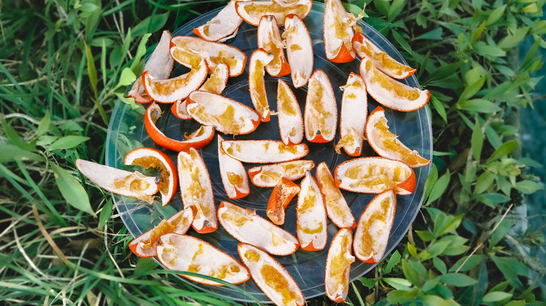 why you should place some orange peels around your patio