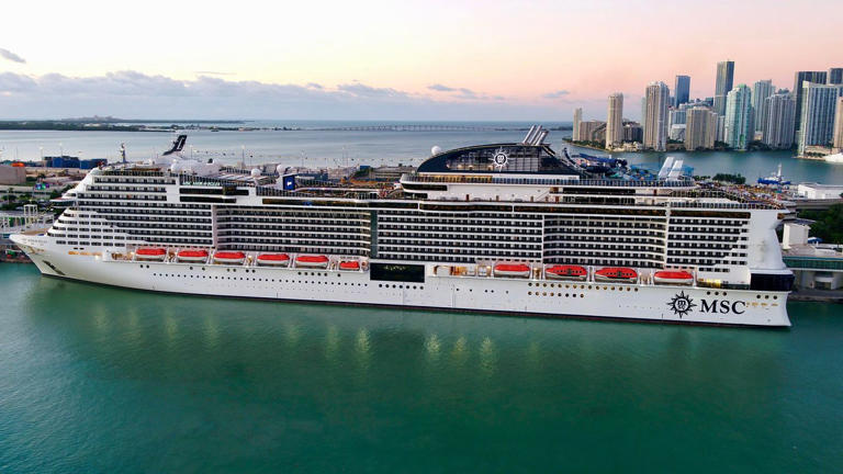 MSC Meraviglia docked in Miami.
