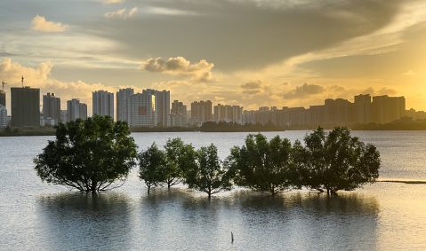 china’s cities are sinking – because there are too many people in them