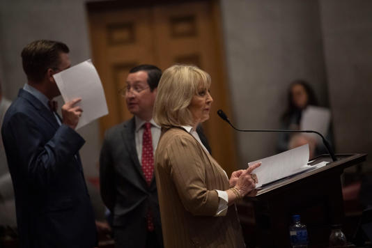 Rep. Patsy Hazlewood, R- Signal Mountain, presents the budget during a House session at Tennessee Capitol in Nashville, Tenn., Thursday, April 18, 2024. Nicole Hester / The Tennessean / USA TODAY NETWORK