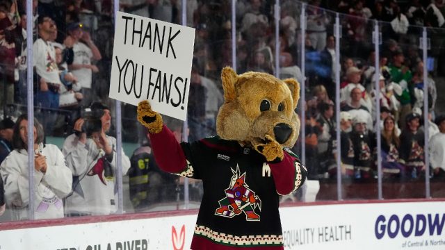 coyotes owner adamant he’ll bring nhl back to arizona