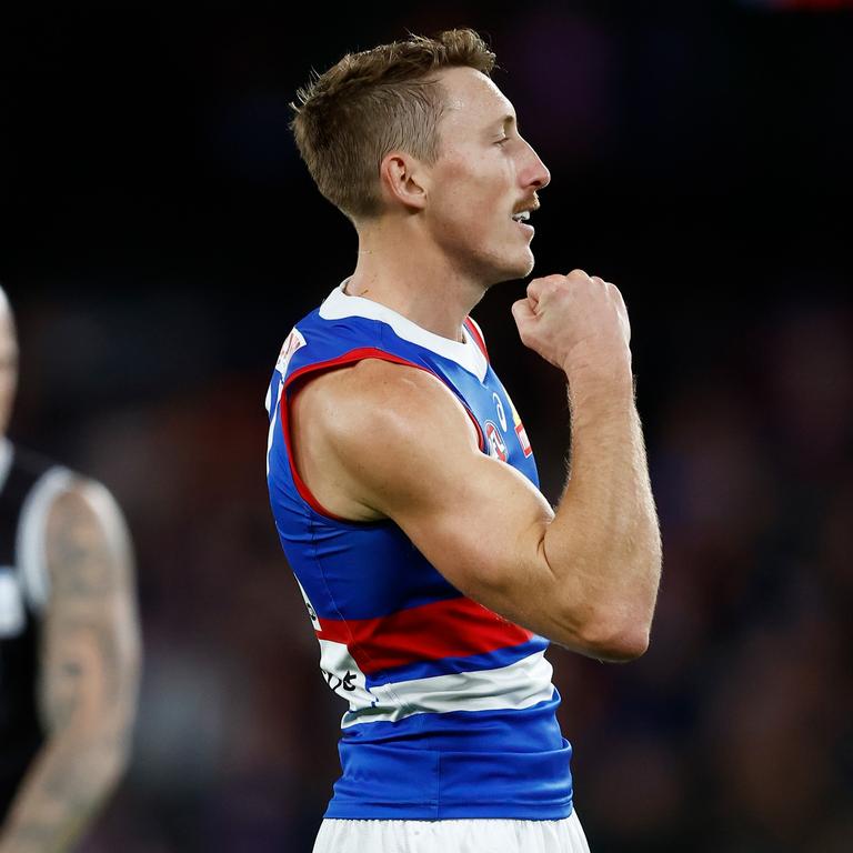 dogs coach lays down challenge after epic win