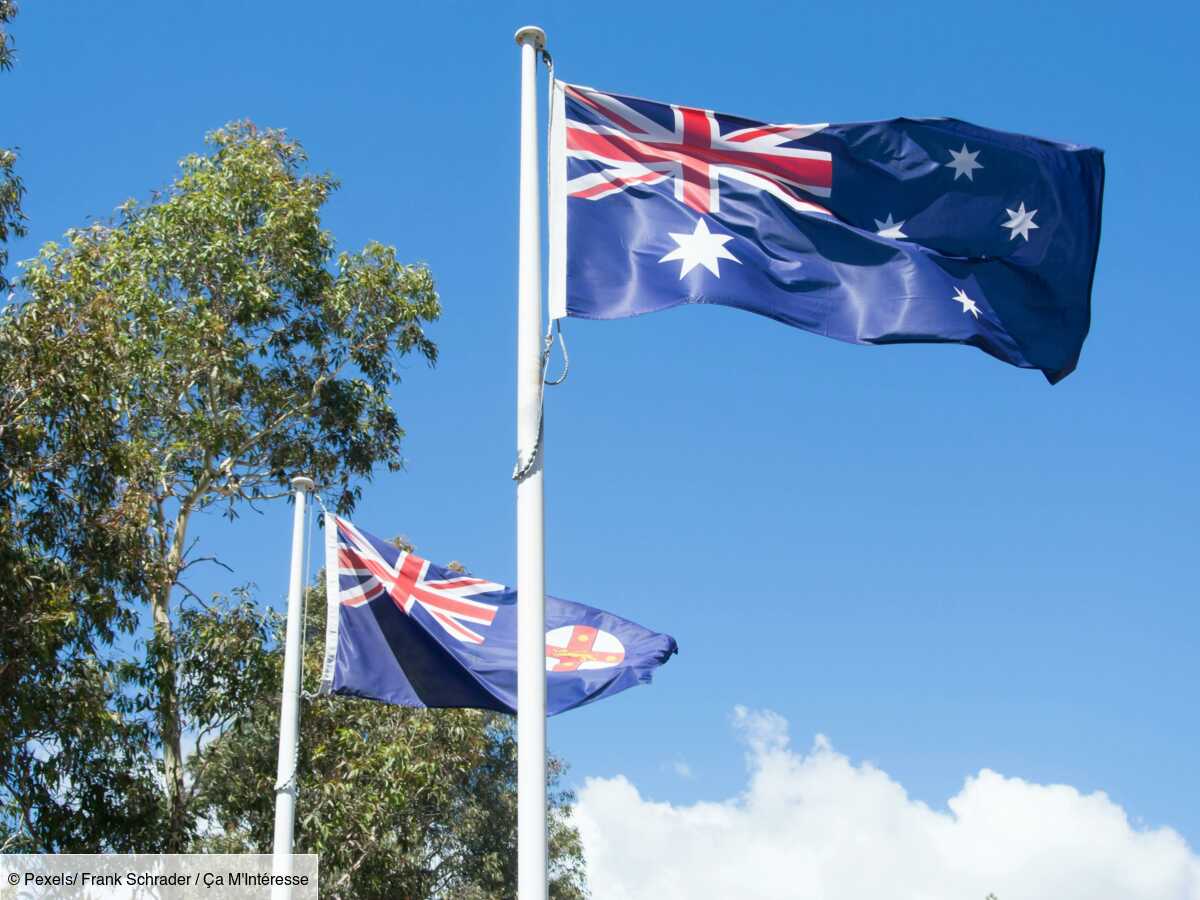 pourquoi les drapeaux de l'australie et de la nouvelle-zélande se ressemblent-ils ?