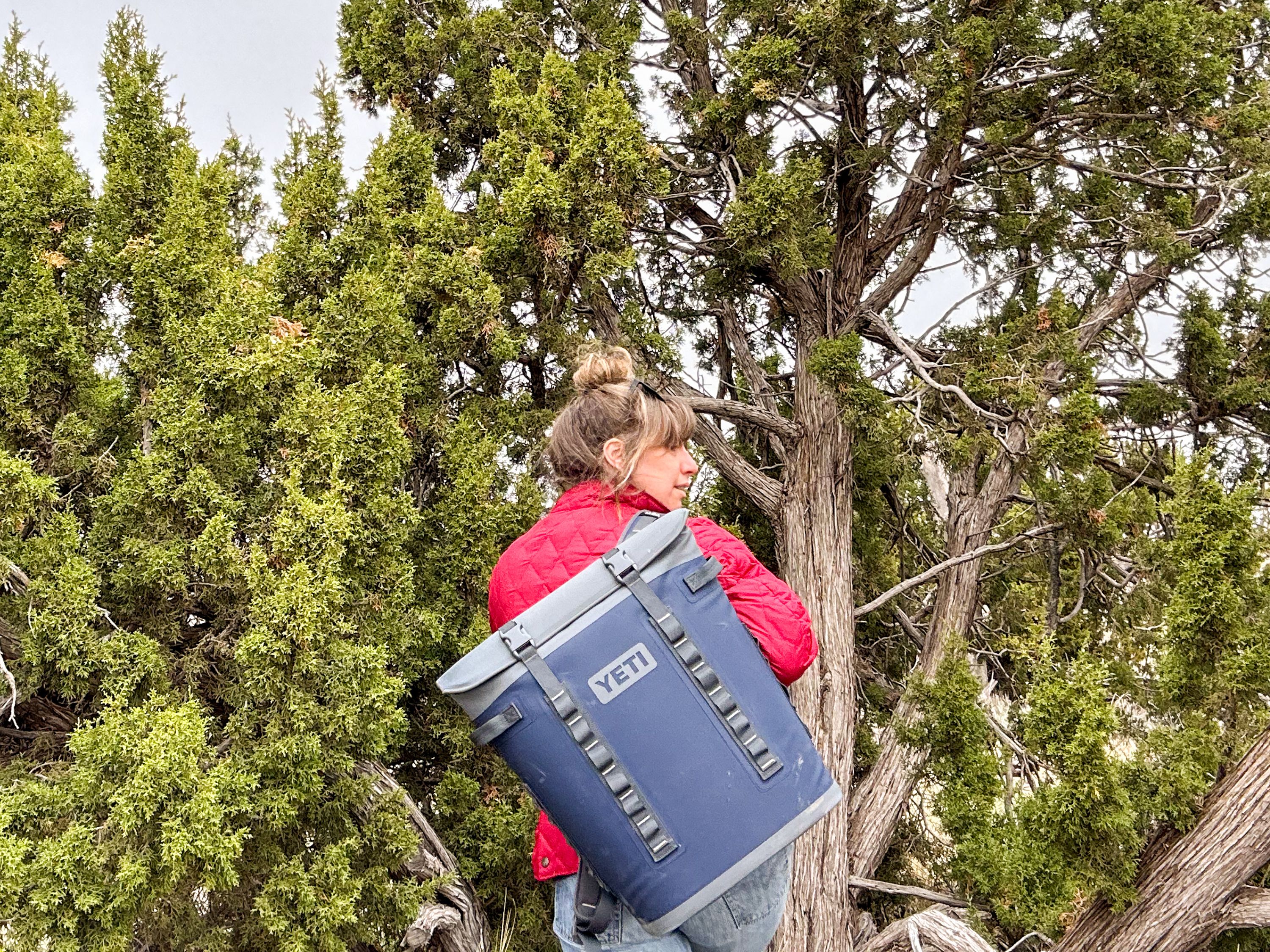 Take Your Picnic On The Road With The Best Backpack Coolers