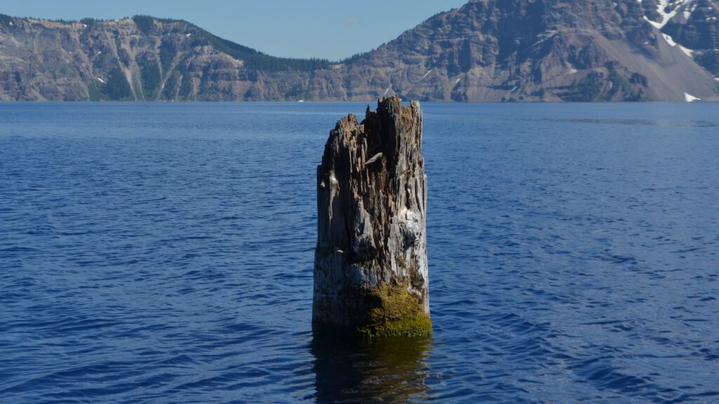 <p>The Old Man of Crater Lake is a quirky tourist attraction that is fun to try and spot from various viewpoints around the rim. </p><p>This attraction is a 30-foot-long hemlock log that has been floating vertically around the lake since at least the late 1800s. Testing on the log shows that it is 450 years old, so it may have been floating for centuries!</p><p>Only the top 3 feet of the log stick above the water, so spotting it takes a keen eye!</p>