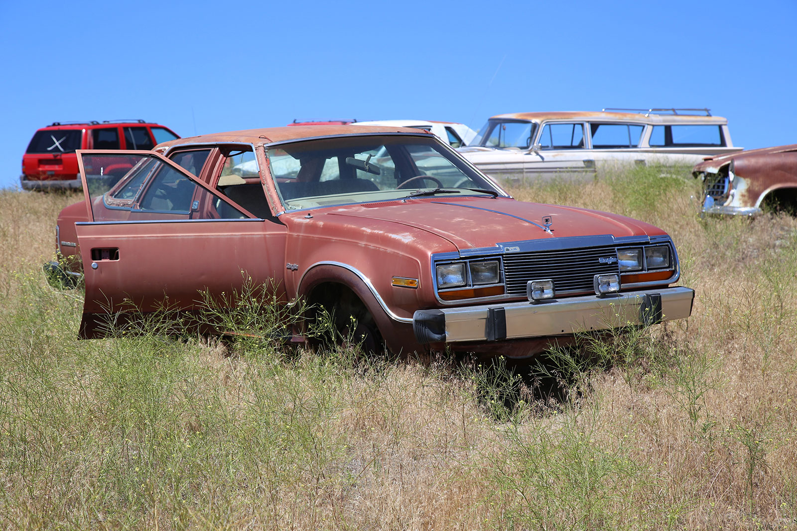 Is this the world's finest car junkyard?