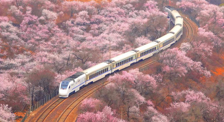 中国の鉄道利用客、１～３月は延べ１０億人突破