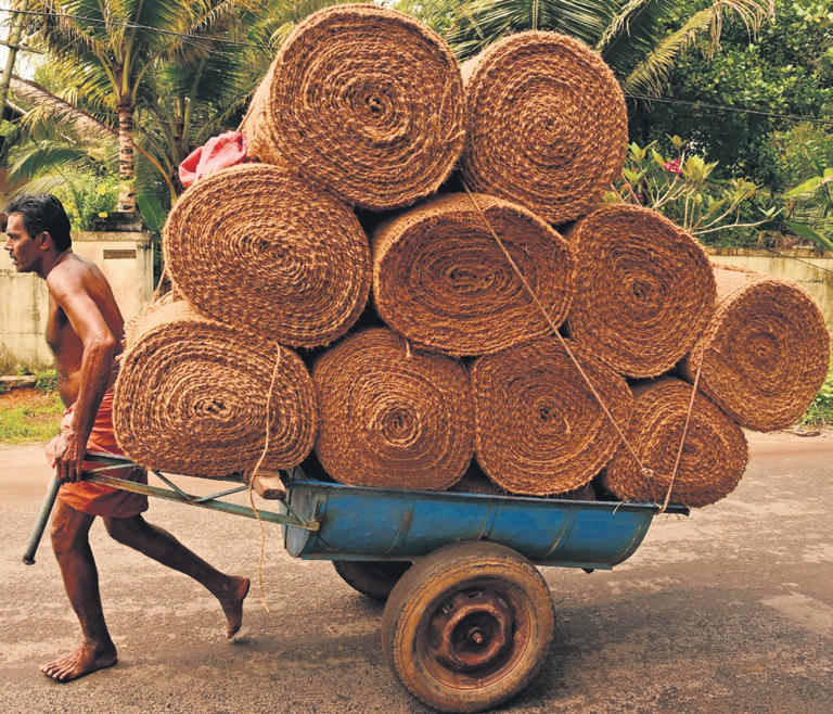 Workers Seek A Rope Of Hope In India's Coir Production Hub, Alappuzha