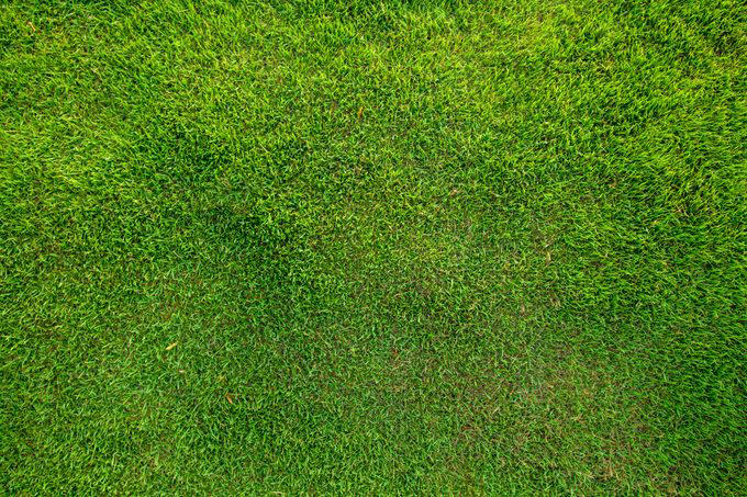 19 Things You Should Never Do To Your Lawn