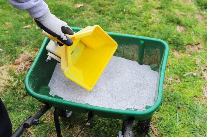 scooping Fertilizer For Grass